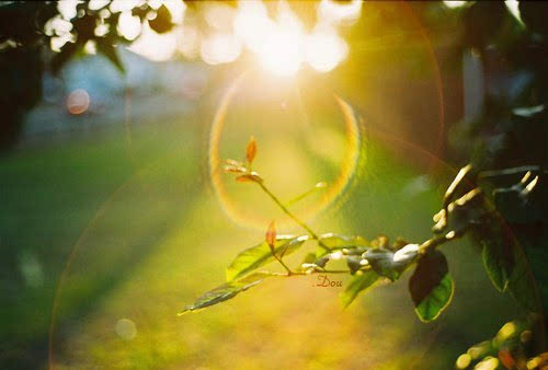 1513580511-626489.jpeg 160642700753318087.JPEG